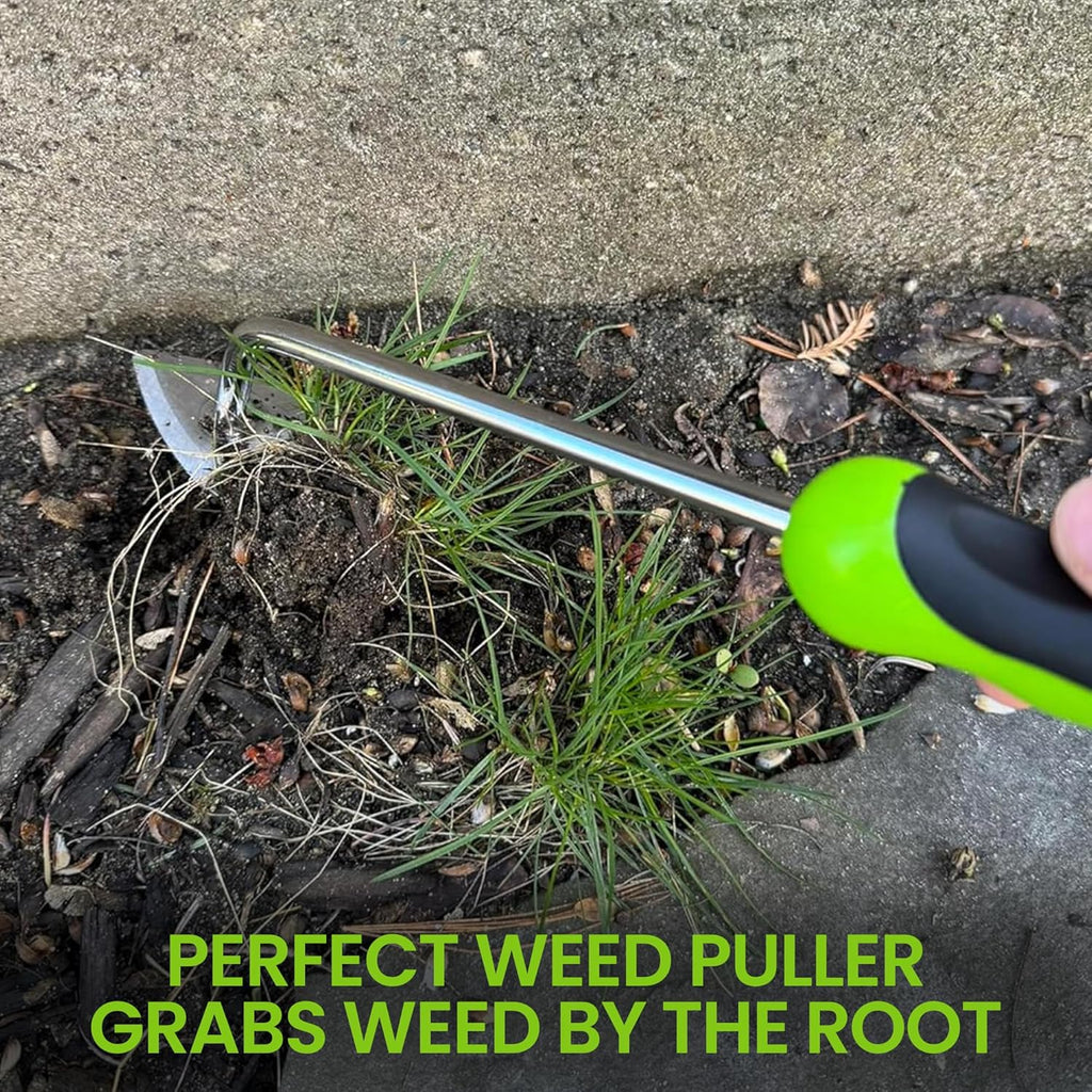 Stainless Steel Garden Root Weeder Tool – Ergonomic Handle, Rust-Resistant
