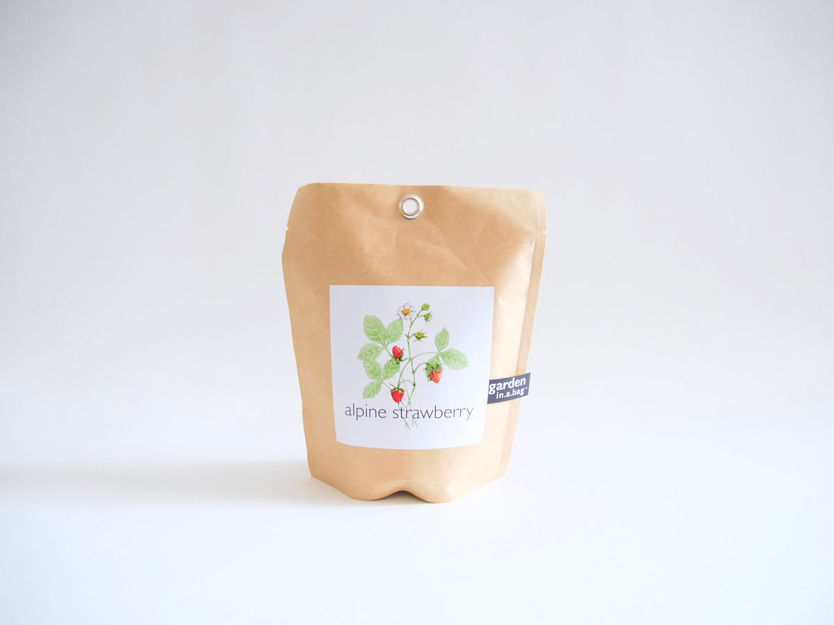 Garden in a Bag Kit with Soil, Seeds & Growing Bag (Assorted Year-Round)
