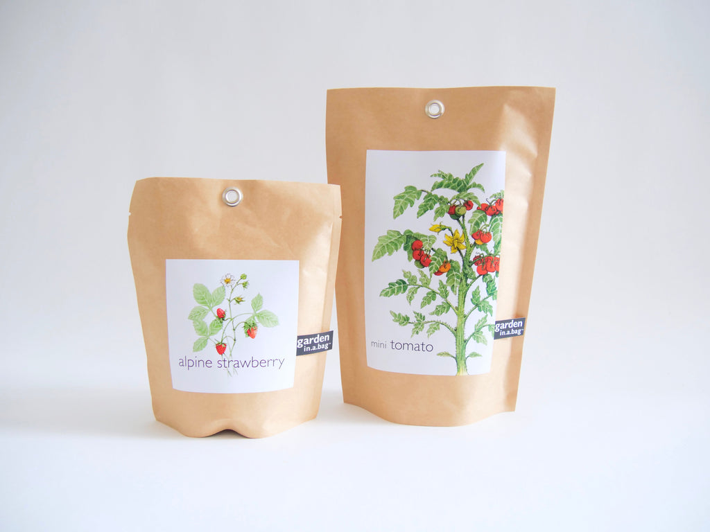 Garden in a Bag Kit with Soil, Seeds & Growing Bag (Assorted Year-Round)
