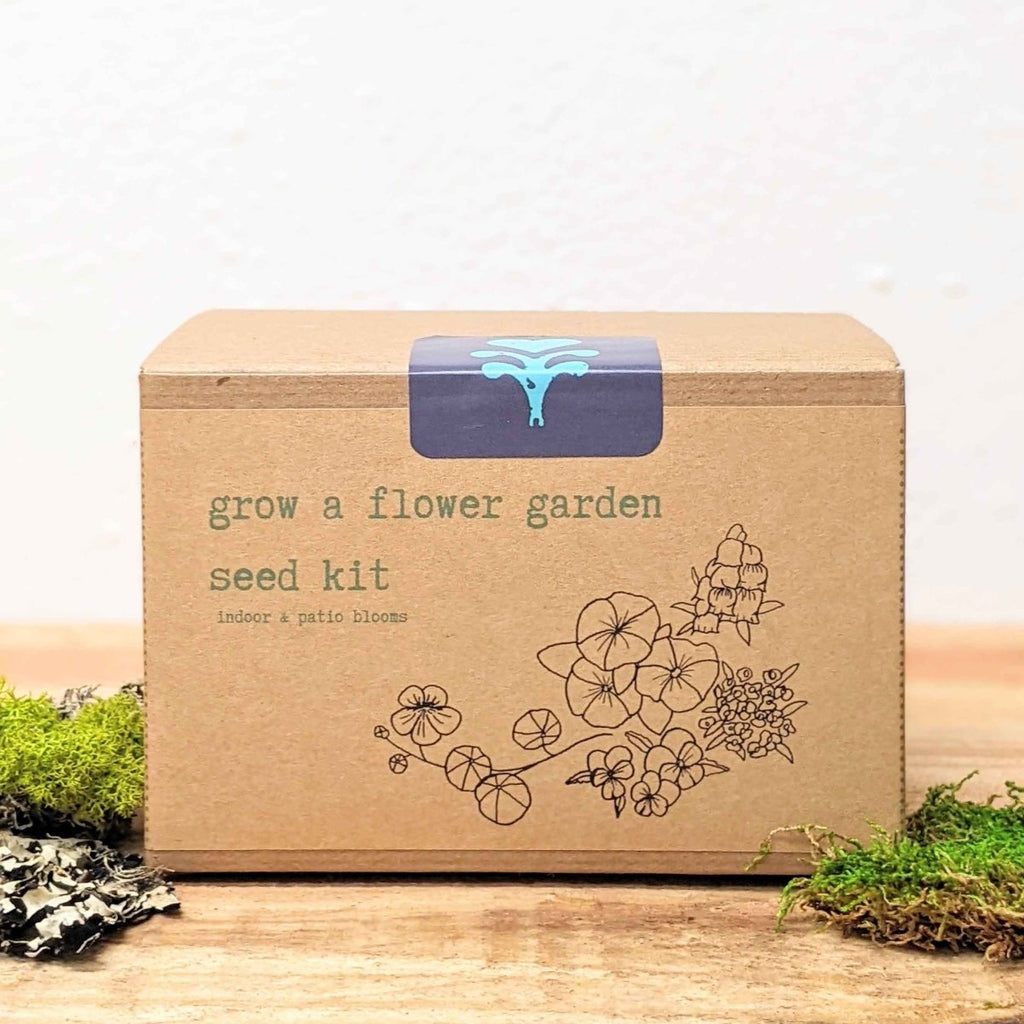 "Grow a Flower Garden" Indoor Blooms Seed Kit – Fresh US-Grown Seeds for Windowsill or Garden